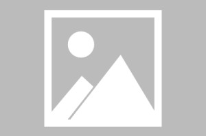 世界杯赛事观看入口-【布鲁克林网事】G3已是雄鹿生死战 他们如何反弹？